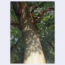 An impressionistic painting of a large tree trunk with green foliage, shown against a light gray background.