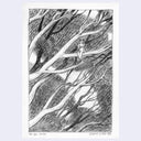 Graphite illustration of a small character with horns sitting on a branch of a very tall tree with more trees in the background.