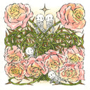 Ink and watercolor illustration of several pink and yellow roses with thorny stems, all tangled into one another. Around the scene are 4 small, cute cartoon skeletons.