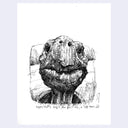 Ink illustration of a tortoise, seen from close up with text about it being 188 years old.