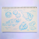 Several food drawings done in blue color pencil on paper.