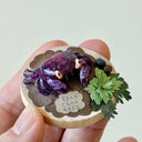 Hand holding a sculpture on a wooden disc of a purple vampire crab with paper greenery and clay rocks.