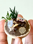Hand holding a sculpture on a wooden disc of 2 crabs, one is a baby, with paper greenery and clay rocks.