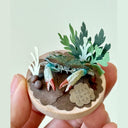 Miniature diorama with a crab, plants, and rocks on a small wooden base held in hand.