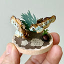 Small sculpture of 2 brown gobi fish with light blue spots, facing each other on a  wooden base with stones and paper plants.