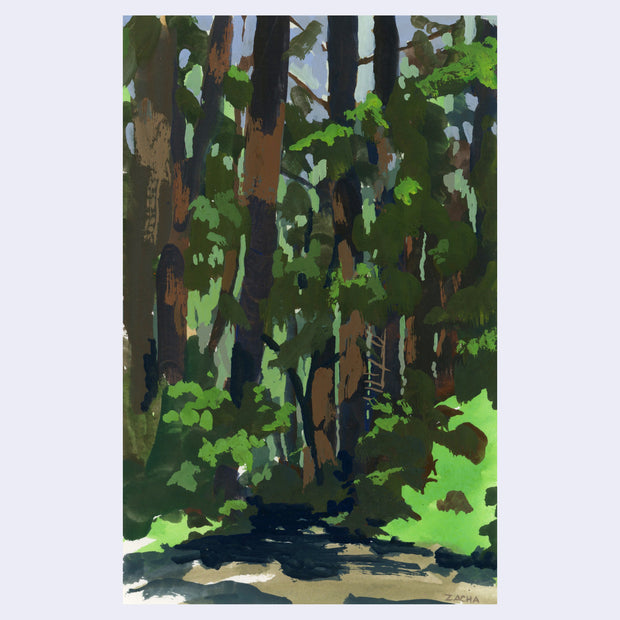 Plein air painting of a dense forest with tall tree trunks and greenery all around.