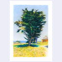 A crayon-style landscape painting featuring a large green tree in a grassy field under a pale blue sky, with a small yellow-orange structure on the right. The artwork is centered on a white background.