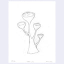 Pencil illustration of a fantasy style plant, with each "flower" a cup with liquid inside. Small characters soak in the cups and a towel hangs on a lower branch of the plant.