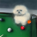 A surreal artwork depicting a small fluffy white dog standing on a green pool table with billiard balls around it.
