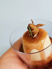 Sculpture in a plastic cup of a flan pudding, with a small gold colored character with tiny wings on top. It holds a single leaf.