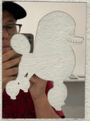 Mirrored surface with a stencil cut out of a poodle with a wide tooth smile. 