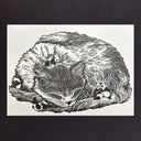 Linocut print of a cat sleeping and cuddled into itself with small panda bears playing around on top of it.
