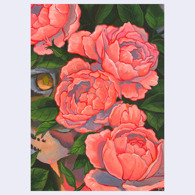 Artistic depiction of pink peonies with green leaves. Lurking in the background  is a tiger, with a bright orange eye glowing.