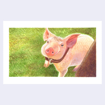 Painting based on a film still from Babe, with a pig looking up at the viewer and standing on green grass.