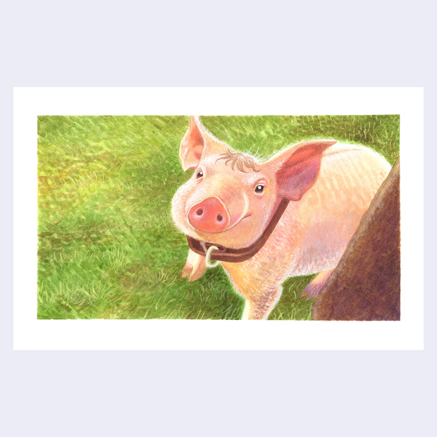 Painting based on a film still from Babe, with a pig looking up at the viewer and standing on green grass.