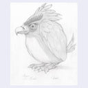 Pencil drawing of a fantastical bird on a light purple background