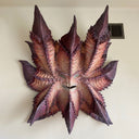 Very large paper mache sculpture of a monster's head with many pointed edges, akin to a leaf with a menacing face.