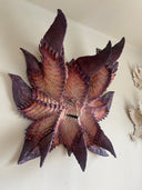 Very large paper mache sculpture of a monster's head with many pointed edges, akin to a leaf with a menacing face.