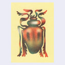 Colorful beetle illustration on a yellow background