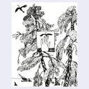Ink sketch of trees and a large bird flying behind them. In the center of the sketch is a box with a hand raised, as if touching a bird that flies by.
