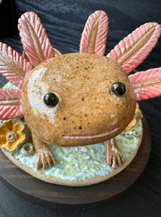 Ceramic sculpture of a cute axolotl, brown in color with pink color accents. It looks up at the viewer and is on a base of coral.