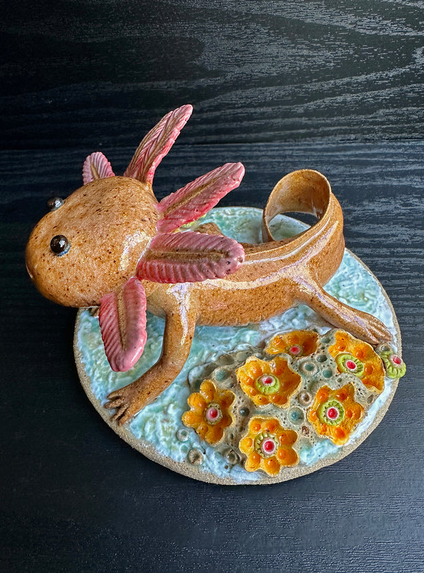 Ceramic sculpture of a cute axolotl, brown in color with pink color accents. It looks up at the viewer and is on a base of coral.