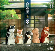 5 different colored and breeds of dogs, all standing next to one another with their heads bowed and hands folded in prayer.