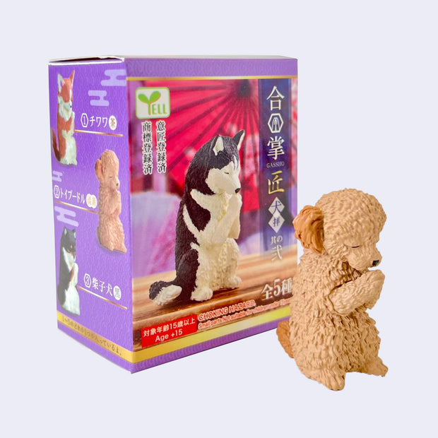 Small brown plastic dog, fluffy and standing on its back paws. It has its head bowed and its hands folded together in prayer. It stands in front of its product packaging.