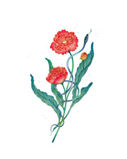 Fine line illustration of a bouquet of 2 red flowers and green leaves, with a skinny blue snake weaving through. All white background.