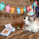 Cat wearing a birthday hat with 'Happy Birthday' banner and party supplies on a wooden floor.