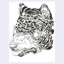 Black and white illustration of a bear's head on white paper.
