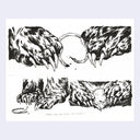 Black and white illustration of bear paws and claws on a light gray background