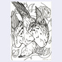 Ink illustration of a bird, loosely wrapped in string.