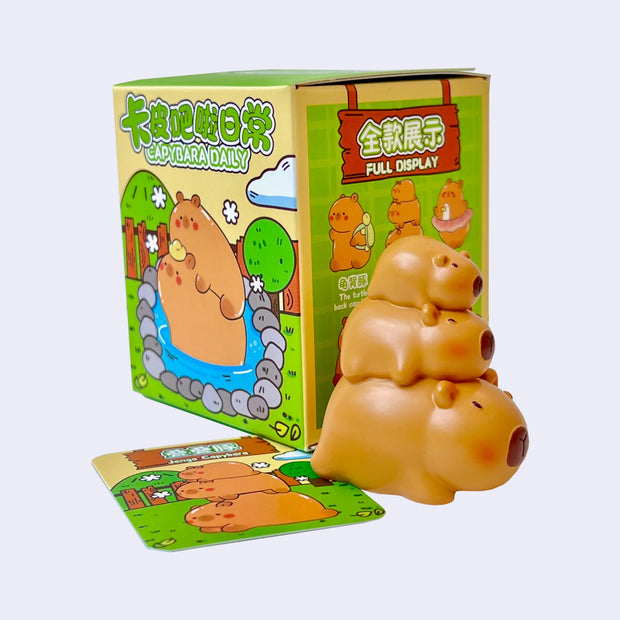 Capybara Box Toys – Tagged