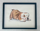 Ink and watercolor illustration of a cartoon bulldog, with its hind legs up but its weight shifted forward as though stretching. Piece is framed.