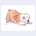 Ink and watercolor illustration of a cartoon bulldog, with its hind legs up but its weight shifted forward as though stretching.