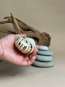 Ceramic figurine of a nautilus with gold stripe detailing. It sits in front of a setting with stacked stones and driftwood.