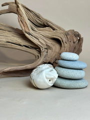 Ceramic figurine of a nautilus with gold stripe detailing. It sits in front of a setting with stacked stones and driftwood.