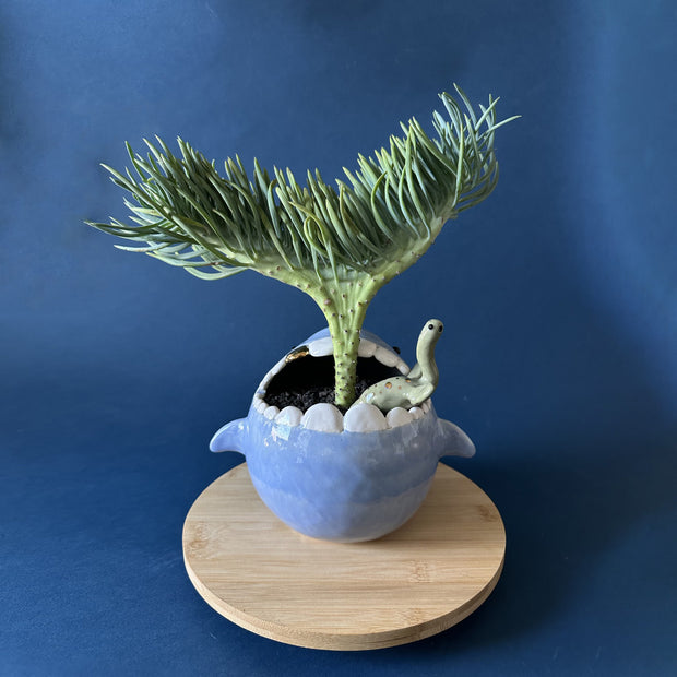 Potted plant shaped like a whale's tail inside of a rounded sculptural pot shaped like a Megladon.