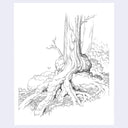 A black and white line art illustration of a tree's trunk and roots, shown on a white square card against a light gray background.