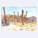 Watercolor painting of a desert landscape with tall tree trunks, no tops.