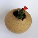 Unglazed brown ceramic pot with a green lizard character breaking out of it, with a tiny flame coming out of its mouth.