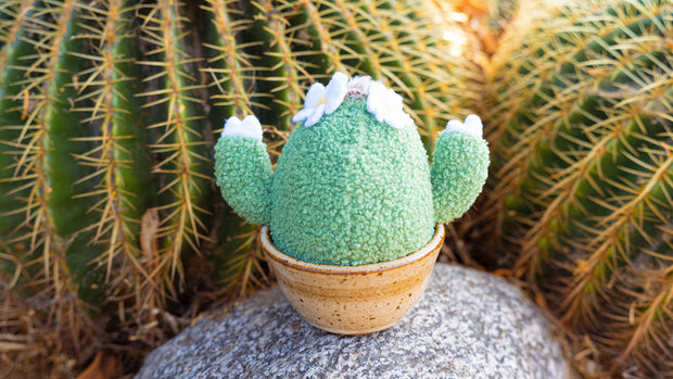Plush Cactus Start Up