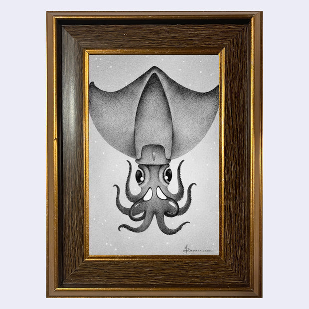 Softly rendered graphite illustration of a squid with a very large head. Piece is framed within a dark wood grain and gold lined frame.