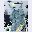 Softly rendered graphite illustration of a lynx, amongst black silhouetted tall grass and desert plants.