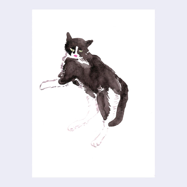 Sketch style painting of a black cat with white underbelly and paws.