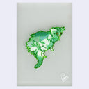 Fluffy green and white cat