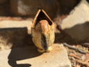 A ceramic horse-shaped pitcher with a cream and brown speckled glaze, resting outdoors on a stone surface.