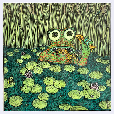Illustration of a green and orange frog sitting in a pond with lots of lily pads. It eats fish.