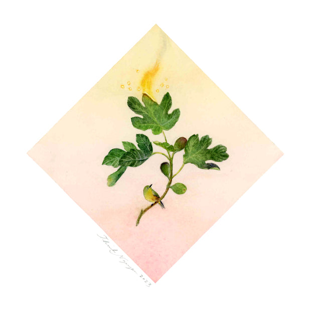 Watercolor painting confined to a square, positioned on its point instead of flat. Inside is a branch of a fig tree, with a bird sitting at the bottom of the stem. The top leaf of the tree burns.